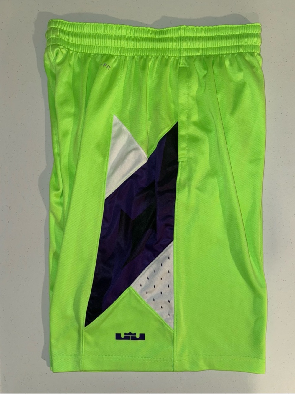 Nike LeBron James King Crown Green And Purple Basketball Shorts Men’s Size Large